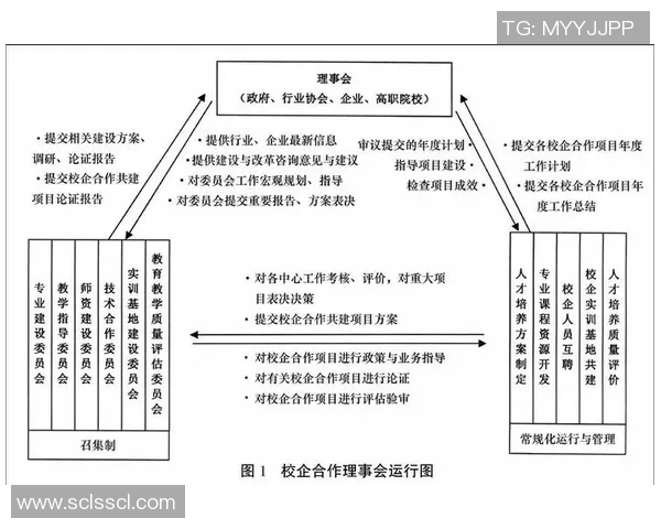 科学篮球团队协作训练方法探讨与实践分享